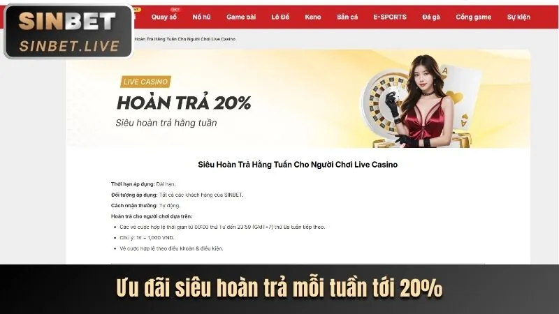 Đánh giá trò chơi người chia bài trực tiếp 22bet Casino